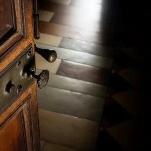 Lire la suite à propos de l’article Ouverture de porte : astuces infaillibles pour ne jamais rester bloqué dehors